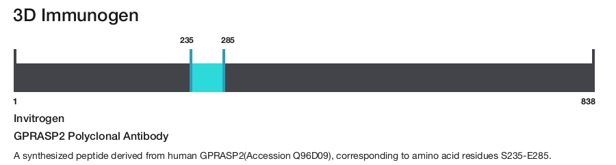 GPRASP2 Polyclonal Antibody
