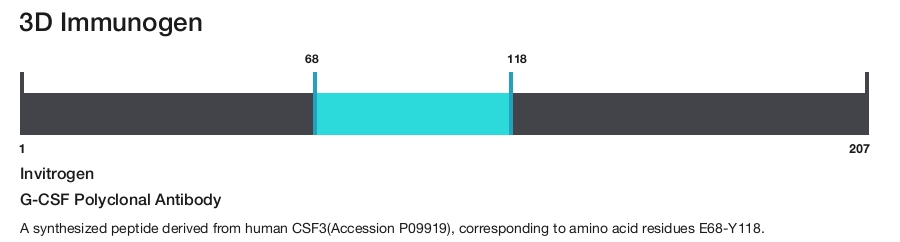 G-CSF Polyclonal Antibody