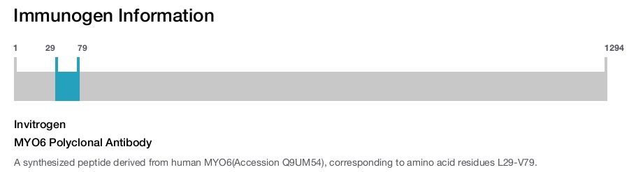 MYO6 Polyclonal Antibody