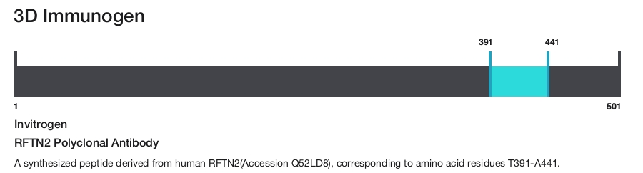 RFTN2 Polyclonal Antibody