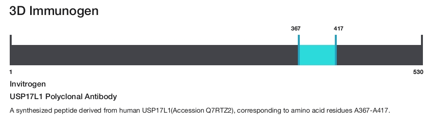 USP17L1 Polyclonal Antibody
