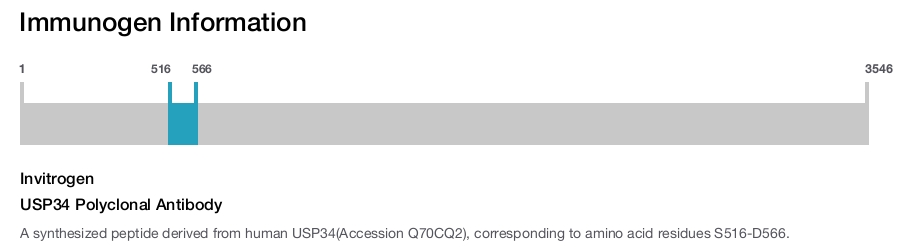 USP34 Polyclonal Antibody