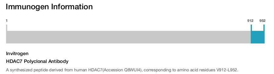 HDAC7 Polyclonal Antibody