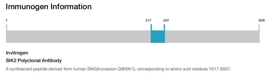 SIK2 Polyclonal Antibody