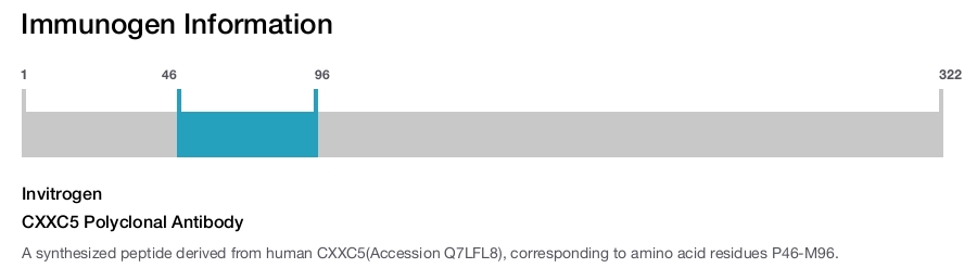 CXXC5 Polyclonal Antibody