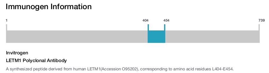 LETM1 Polyclonal Antibody