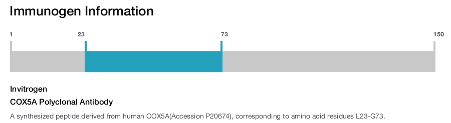 COX5A Polyclonal Antibody