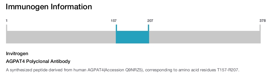 AGPAT4 Polyclonal Antibody