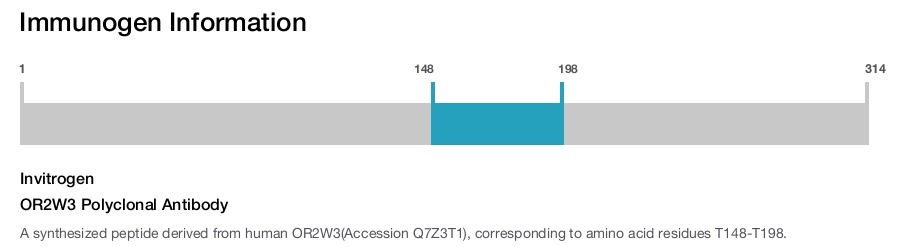 OR2W3 Polyclonal Antibody