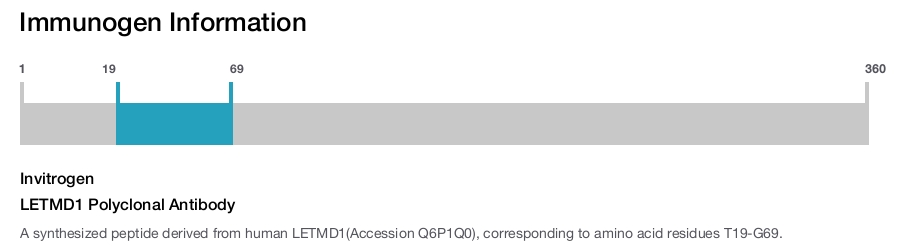 LETMD1 Polyclonal Antibody