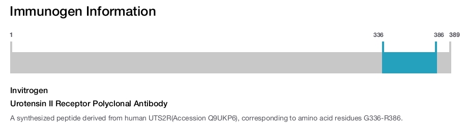 Urotensin II Receptor Polyclonal Antibody