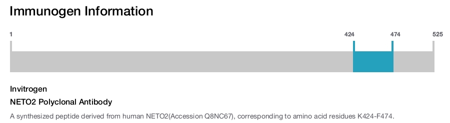 NETO2 Polyclonal Antibody