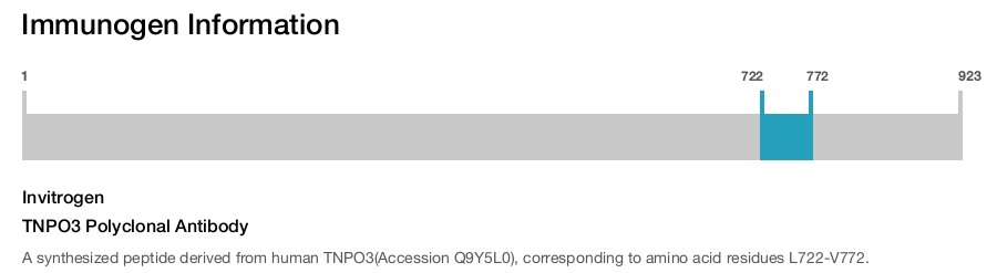TNPO3 Polyclonal Antibody