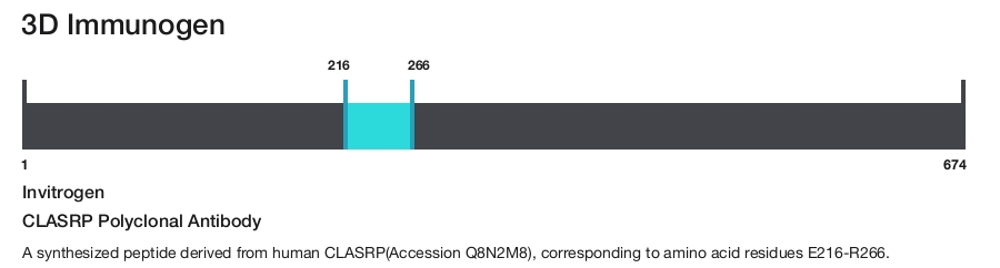 CLASRP Polyclonal Antibody