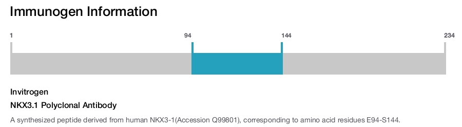 NKX3.1 Polyclonal Antibody