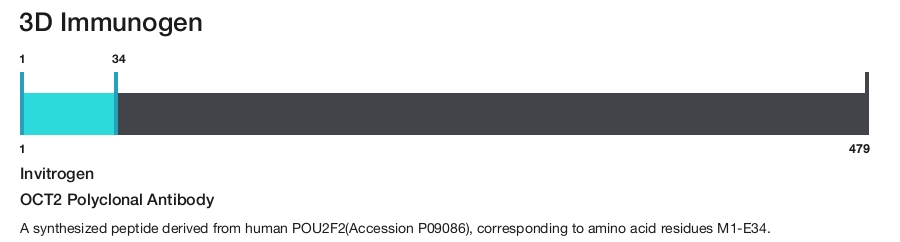 OCT2 Polyclonal Antibody