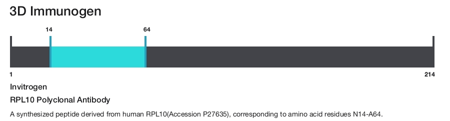 RPL10 Polyclonal Antibody