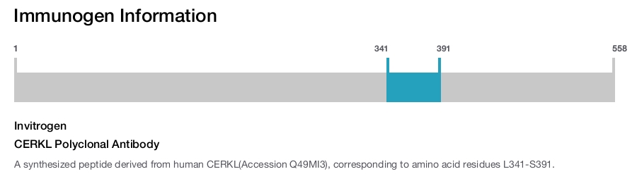 CERKL Polyclonal Antibody