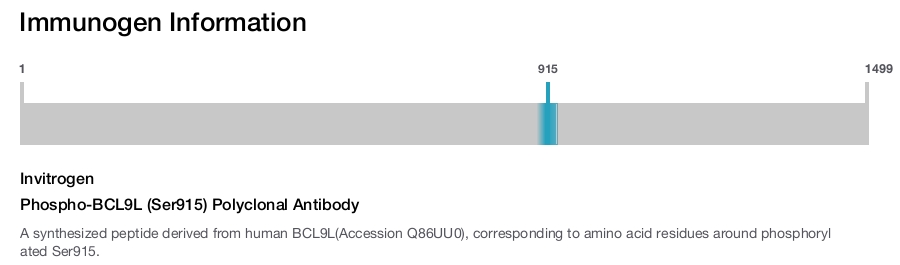 Phospho-BCL9L (Ser915) Polyclonal Antibody