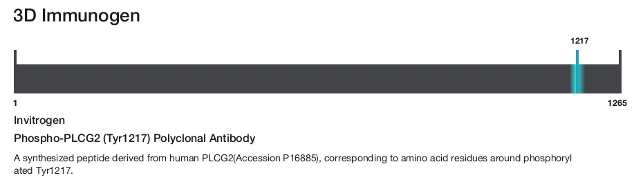 Phospho-PLCG2 (Tyr1217) Polyclonal Antibody