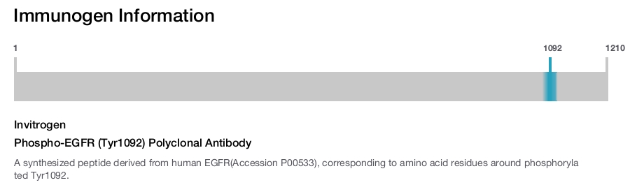 Phospho-EGFR (Tyr1092) Polyclonal Antibody