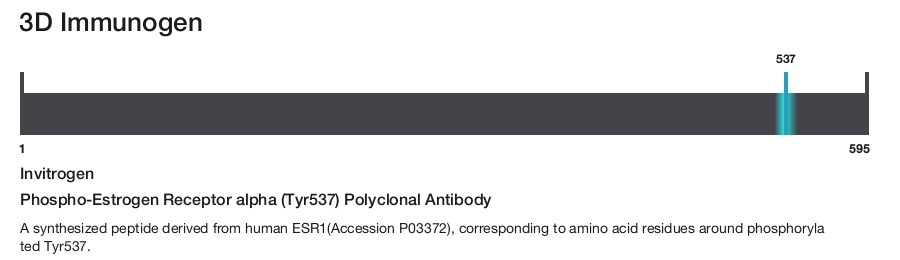Phospho-Estrogen Receptor alpha (Tyr537) Polyclonal Antibody
