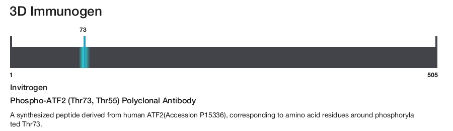 Phospho-ATF2 (Thr73, Thr55) Polyclonal Antibody