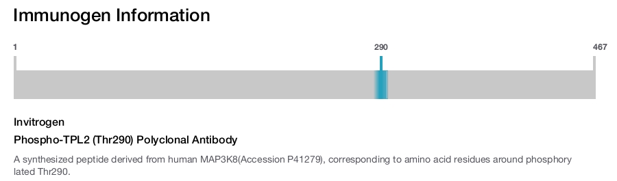 Phospho-TPL2 (Thr290) Polyclonal Antibody