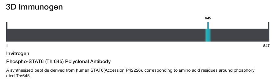 Phospho-STAT6 (Thr645) Polyclonal Antibody