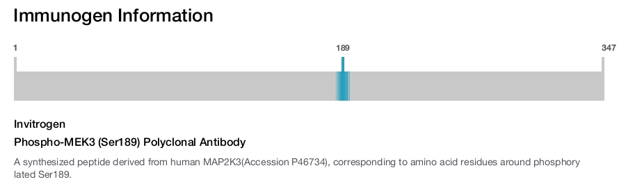 Phospho-MEK3 (Ser189) Polyclonal Antibody