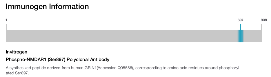 Phospho-NMDAR1 (Ser897) Polyclonal Antibody
