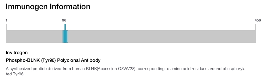Phospho-BLNK (Tyr96) Polyclonal Antibody