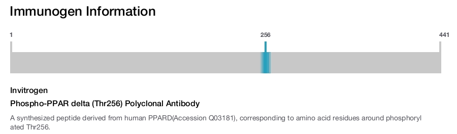 Phospho-PPAR delta (Thr256) Polyclonal Antibody