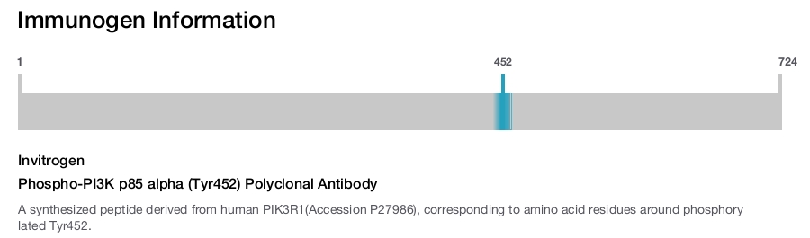 Phospho-PI3K p85 alpha (Tyr452) Polyclonal Antibody