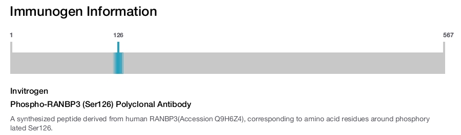 Phospho-RANBP3 (Ser126) Polyclonal Antibody