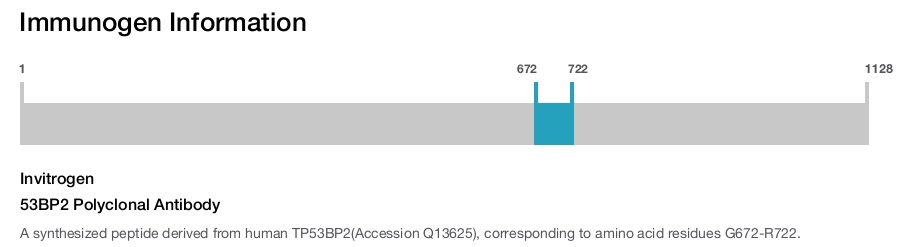 53BP2 Polyclonal Antibody
