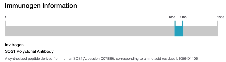 SOS1 Polyclonal Antibody