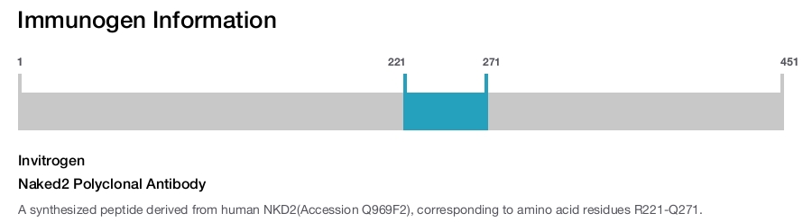 Naked2 Polyclonal Antibody
