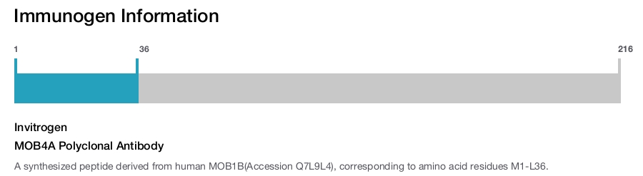 MOB4A Polyclonal Antibody