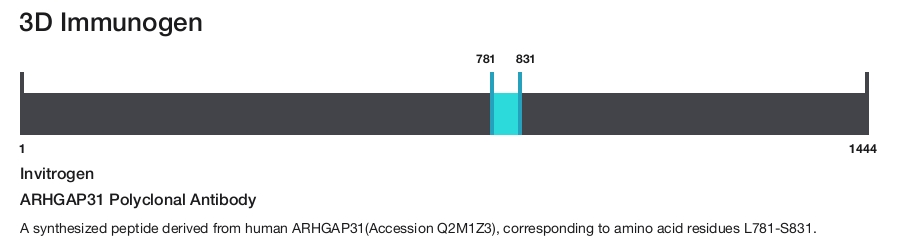 ARHGAP31 Polyclonal Antibody