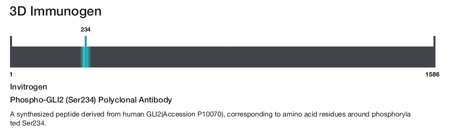 Phospho-GLI2 (Ser234) Polyclonal Antibody