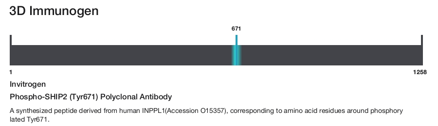Phospho-SHIP2 (Tyr671) Polyclonal Antibody