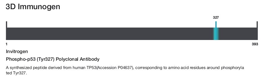 Phospho-p53 (Tyr327) Polyclonal Antibody