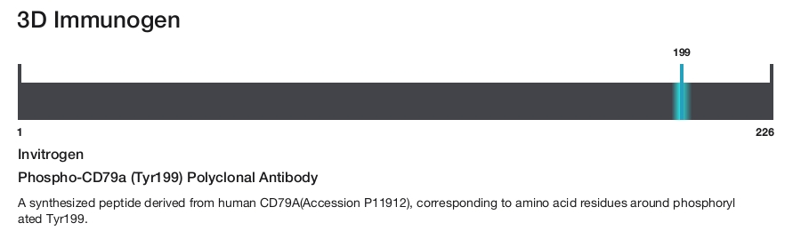 Phospho-CD79a (Tyr199) Polyclonal Antibody