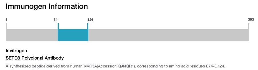 SETD8 Polyclonal Antibody