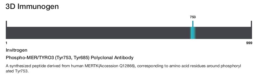 Phospho-MER/TYRO3 (Tyr753, Tyr685) Polyclonal Antibody