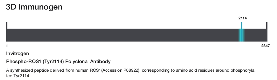 Phospho-ROS1 (Tyr2114) Polyclonal Antibody