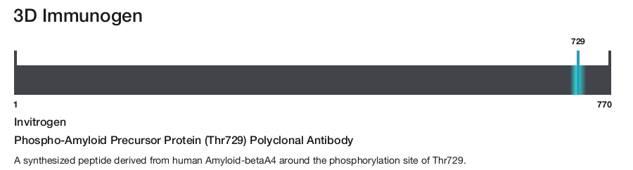 Phospho-Amyloid Precursor Protein (Thr729) Polyclonal Antibody