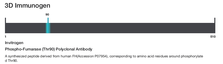 Phospho-Fumarase (Thr90) Polyclonal Antibody