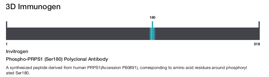 Phospho-PRPS1 (Ser180) Polyclonal Antibody